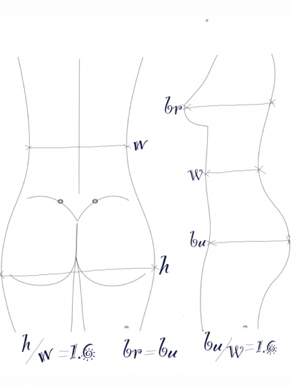Dr. Rafizadeh's proportion study showing the ideal waist-to-hip ratio (h/w = 1.6) from the back and the breast-to-buttock projection (br = bu) from the side